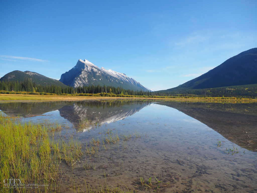 3 Beautiful Instagram-Worthy Spots In The Canadian Rockies