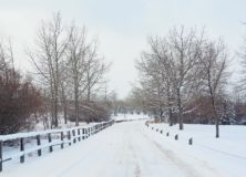City Style and Living Magazine Editors Letter Winter 2017/18 Winter Scene in Calgary