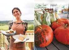 What’s in Season and What to Plant Now!