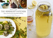 Lavender Fizz