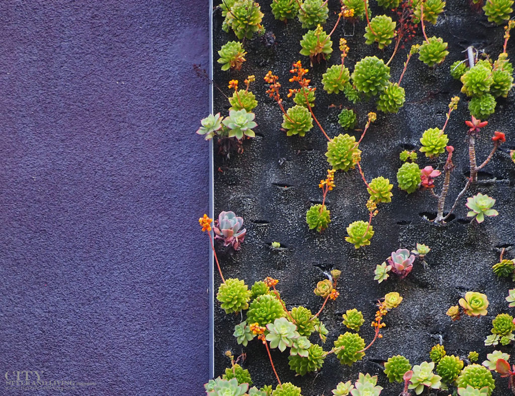 City Style and Living Magazine Summer 2019 Hotels Avenue of the Arts Costa Mesa succulent wall