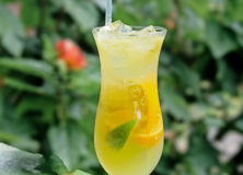 Global Cocktail Hour Caribbean Plantation Punch