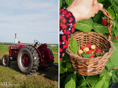 City Style and Living Magazine Travel Foodies Guide Red Deer Alberta The jungle farm tractor and raspberries