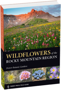 City Style and Living Magazine Travel great items for your next trip wildflowers of the rocky mountain region book