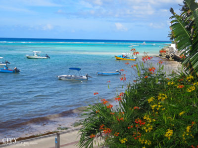 City Style and Living Magazine Winter 2019 Barbados Yellow Bird hotel Kailash Maharaj boats with flowers
