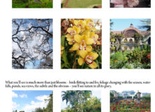 Global Gardens: A Tour Around Some of the Prettiest Spots in the World