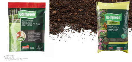 City Style and Living Summer 2021 Summer Gardening Series Grass Seed