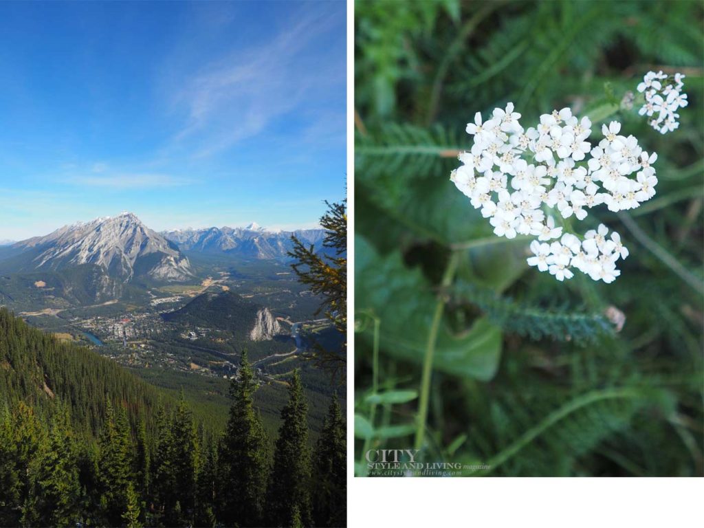 7 Easy Fall Walks in the Canadian Rocky Mountains Banff Gondola