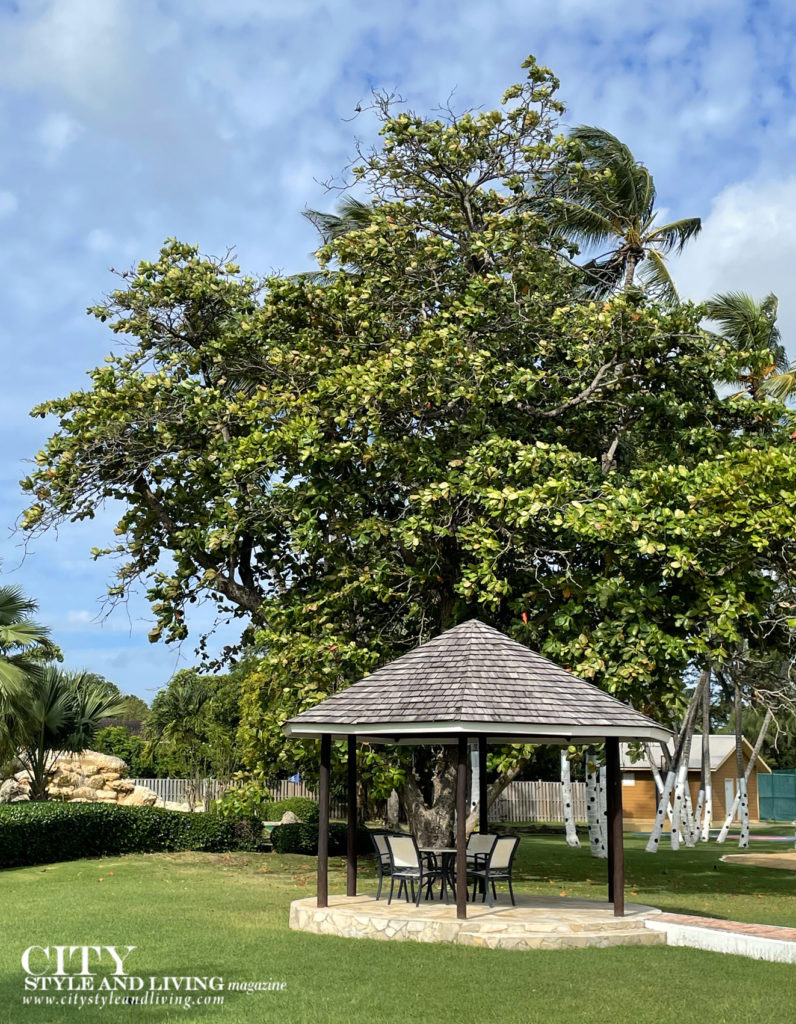 A gazebo, perfect for relaxing at Divi Southwinds Beach Resort Barbados
