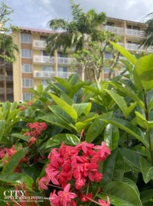 Stunning landscaping at Divi Southwinds Beach Resort Barbados