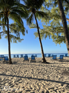 Beach chairs on Dover Beach at Divi Southwinds Beach Resort Barbados