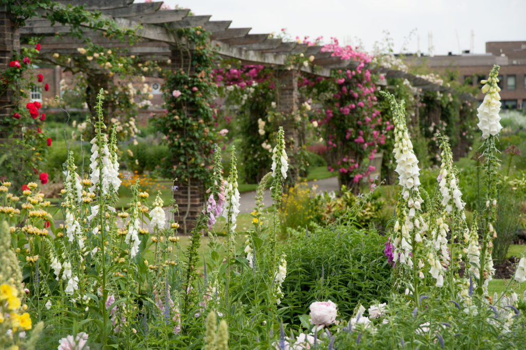 Bring Home Inspiration from Royal Botanic Gardens Kew
