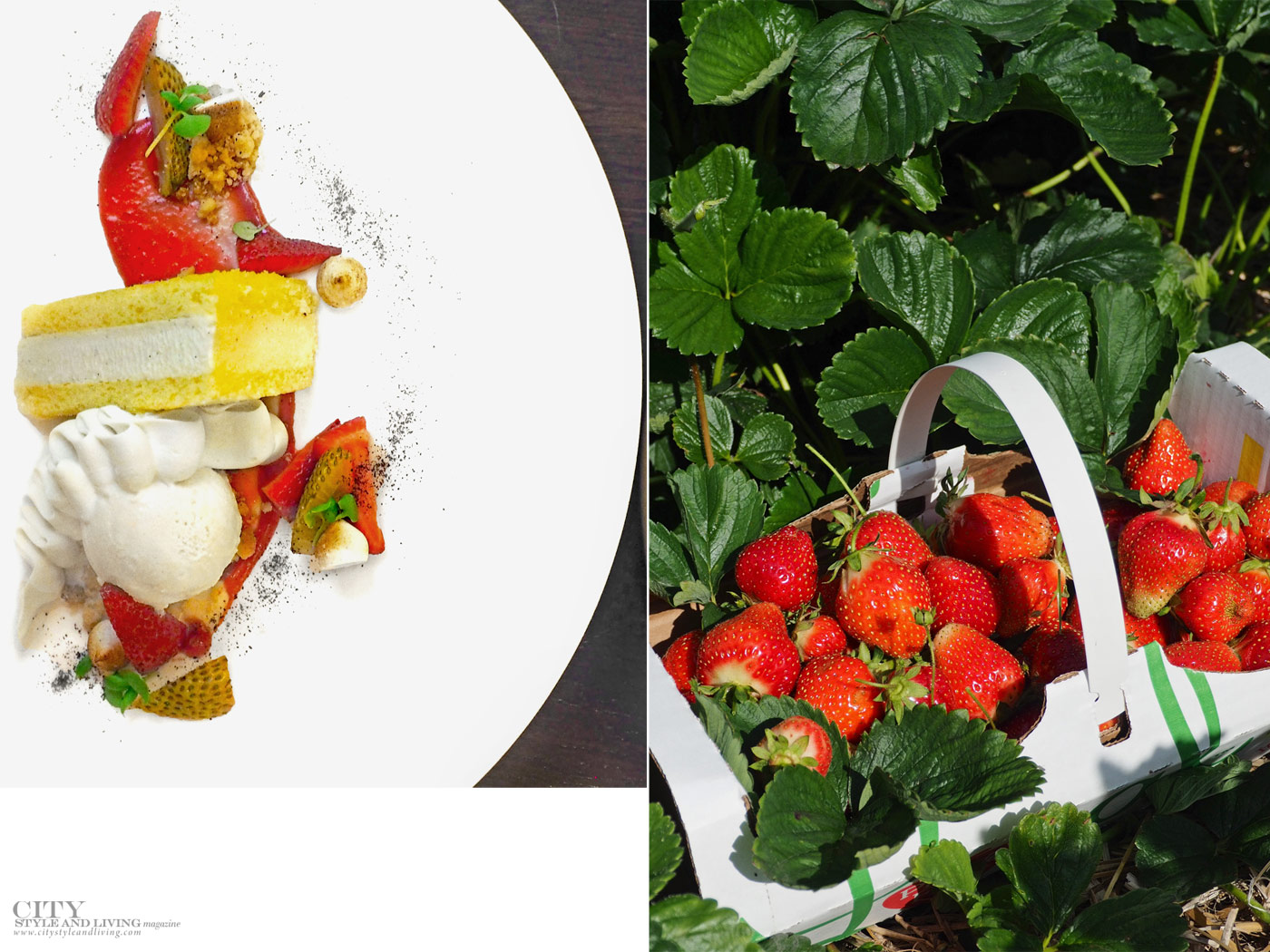 Make This Strawberry Dessert Like a Chef