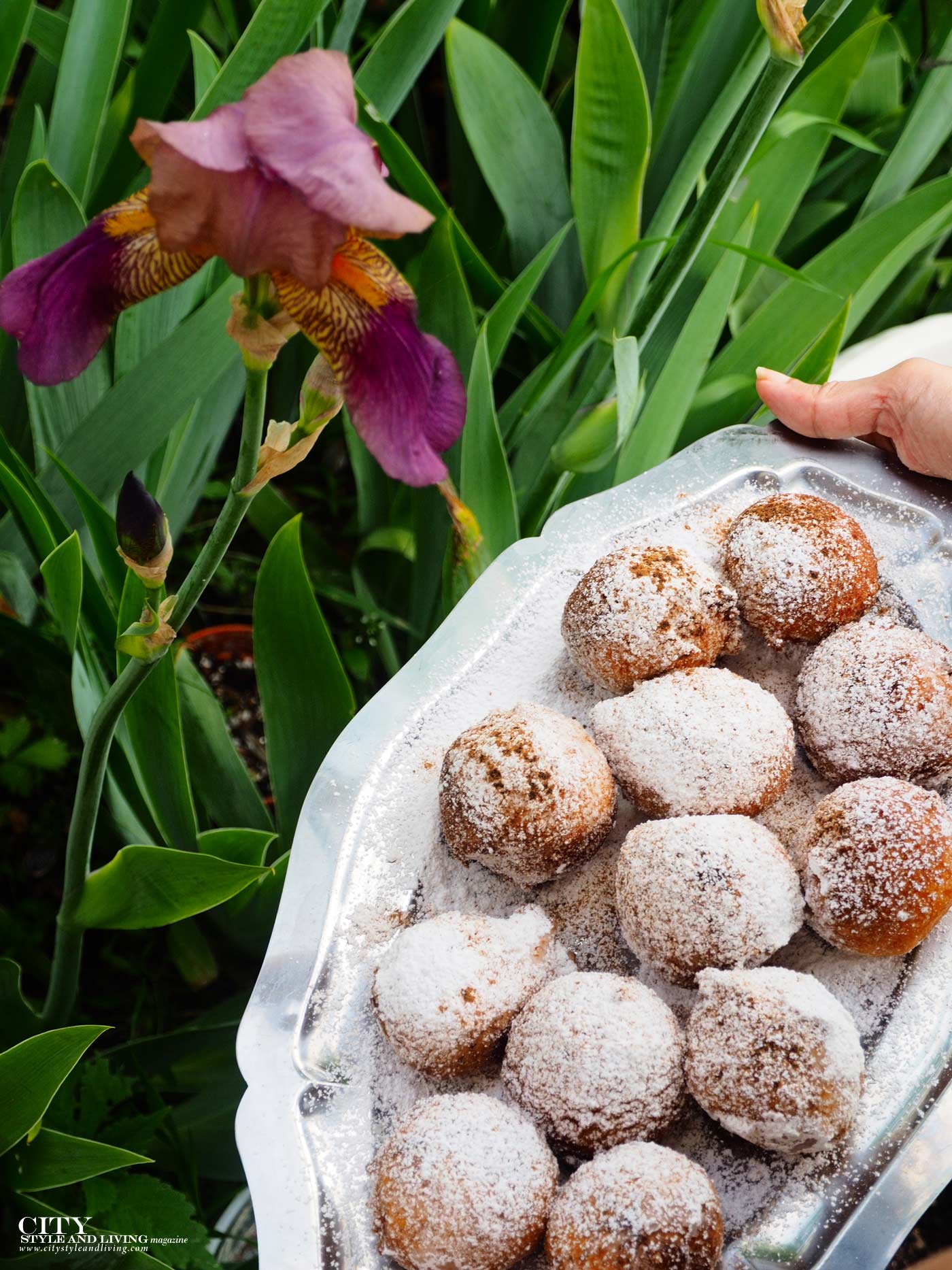Light As Air Zeppoli in the garden
