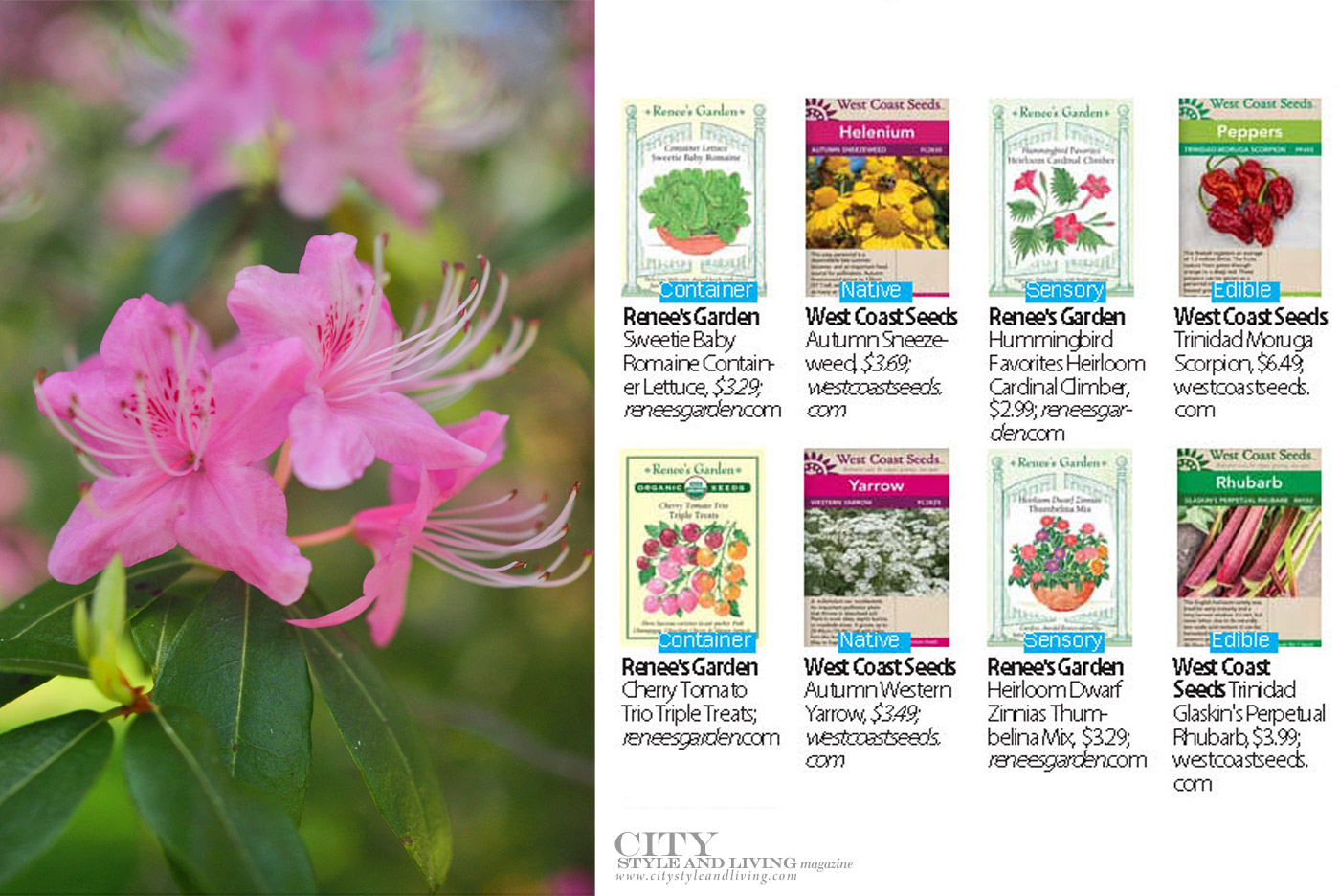 City Style and Living Summer 2023 Backyard Bliss and What to Plant Now Seeds