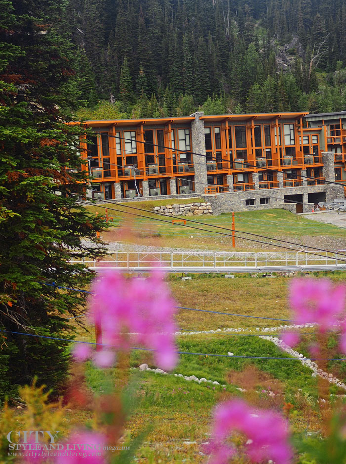 City Style and Living Fall 2023 Banff Sunshine Mountain lodge and wildflowers