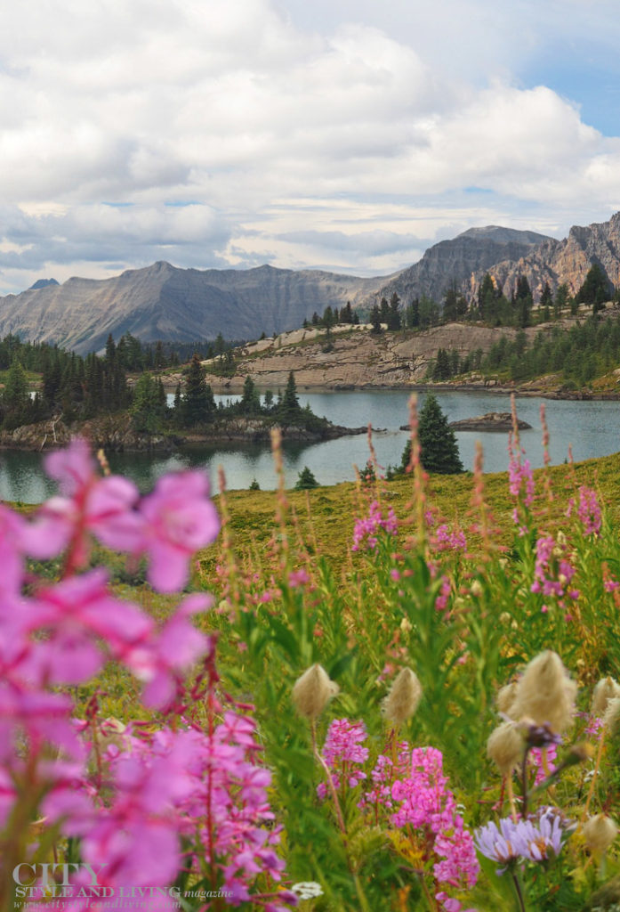 City Style and Living Fall 2023 Sunshine Mountain Lodge lake with wildflowers