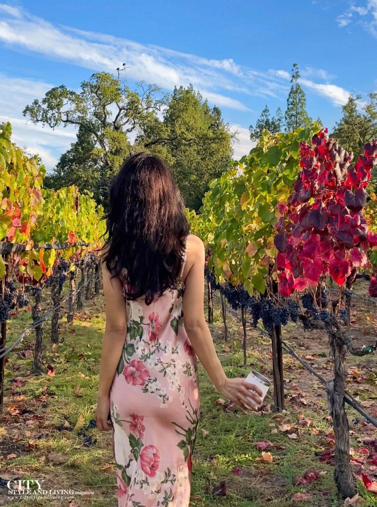 Hotel Villagio at The Estate Yountville photos Harvest 2023 girl in dress walking in vineyards wedding venue