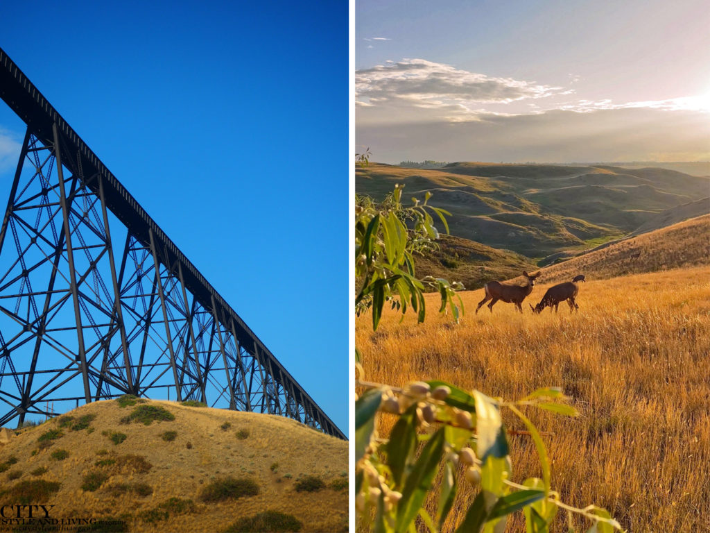 The Best Fun Things to See, Eat and Do on a Weekend in Lethbridge, Alberta