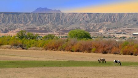 City Style and Living Summer 2024 How to Choose your Own Adventure Off The Strip Mesquite