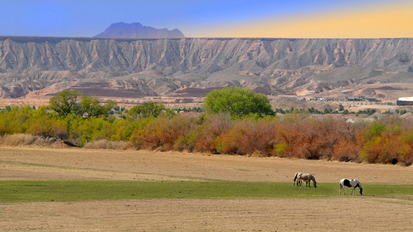 City Style and Living Summer 2024 How to Choose your Own Adventure Off The Strip Mesquite