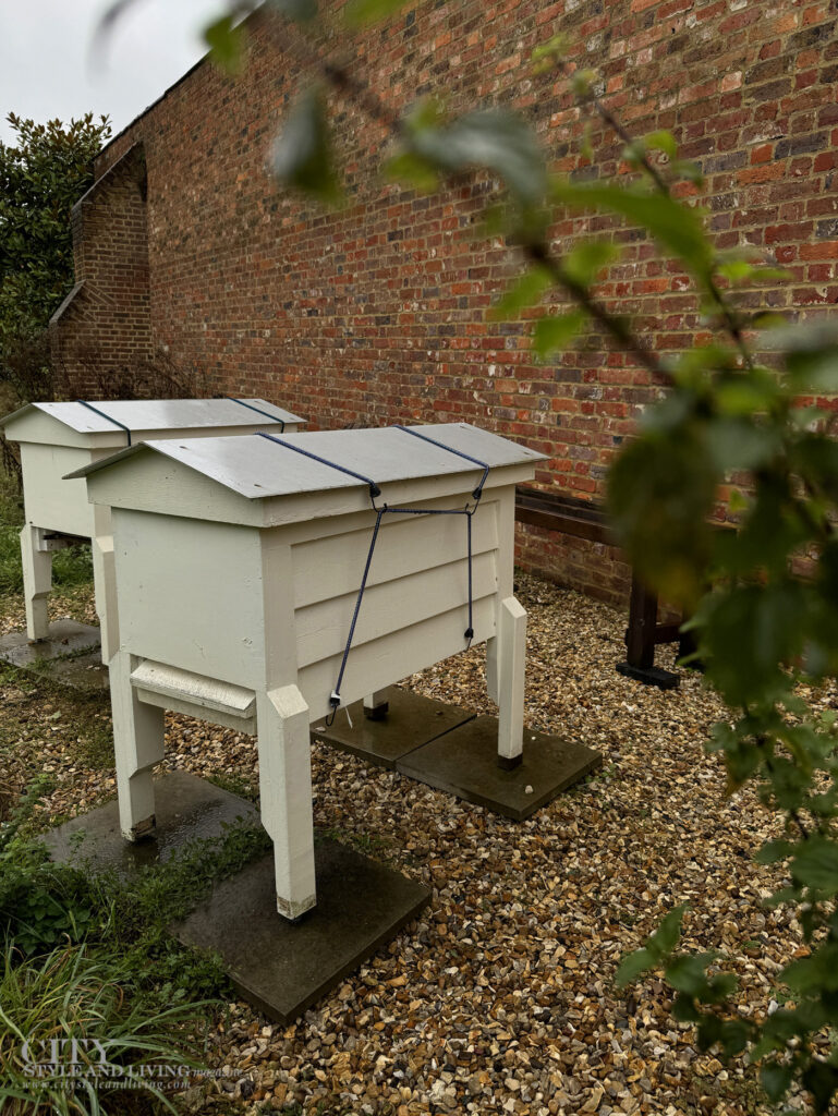 City Style and Living Winter 2024/2025 Hartwell House Beehives