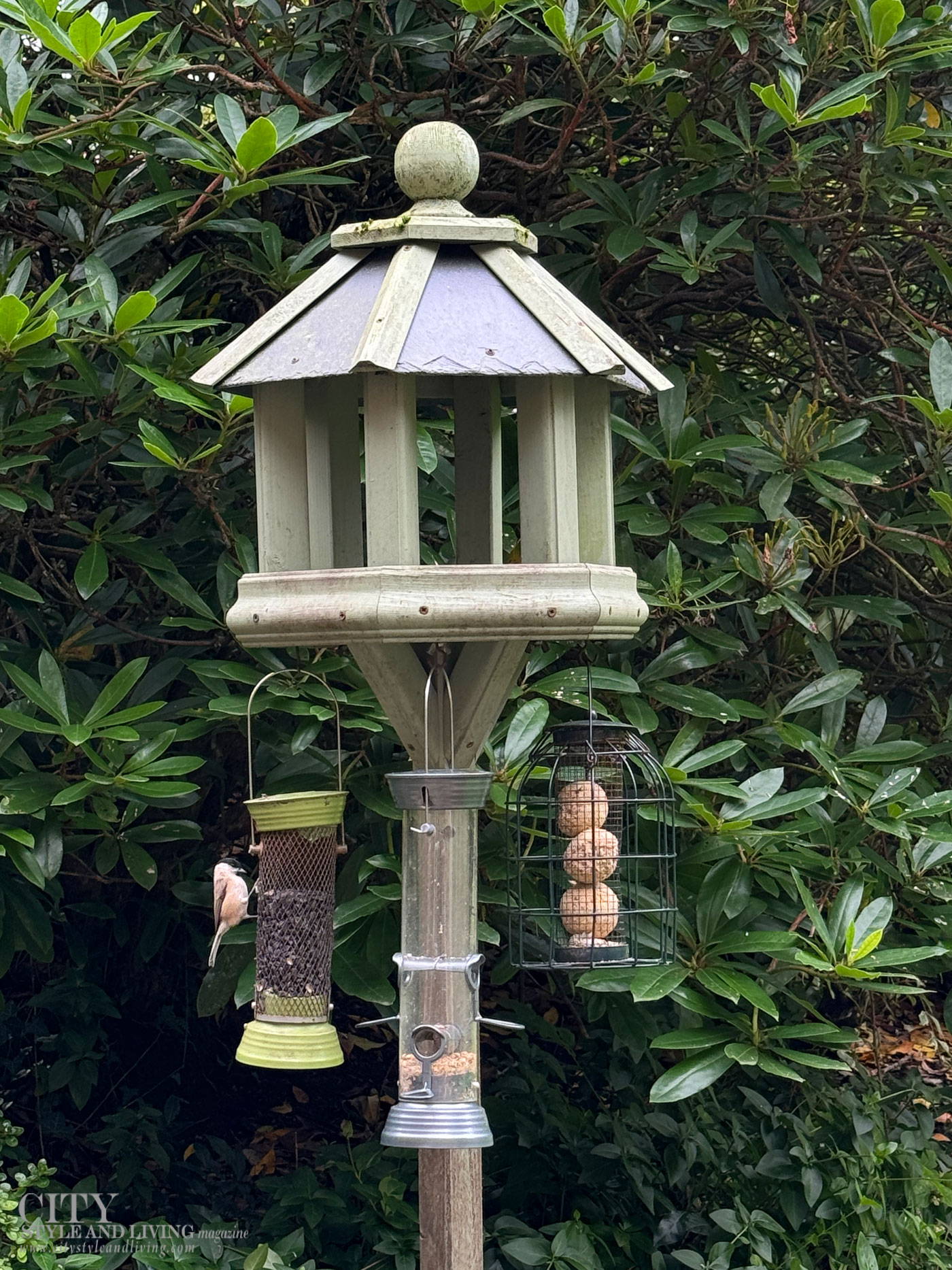City Style and Living Winter 2024/2025 VRBO New Forest Cottage England Birdfeeder