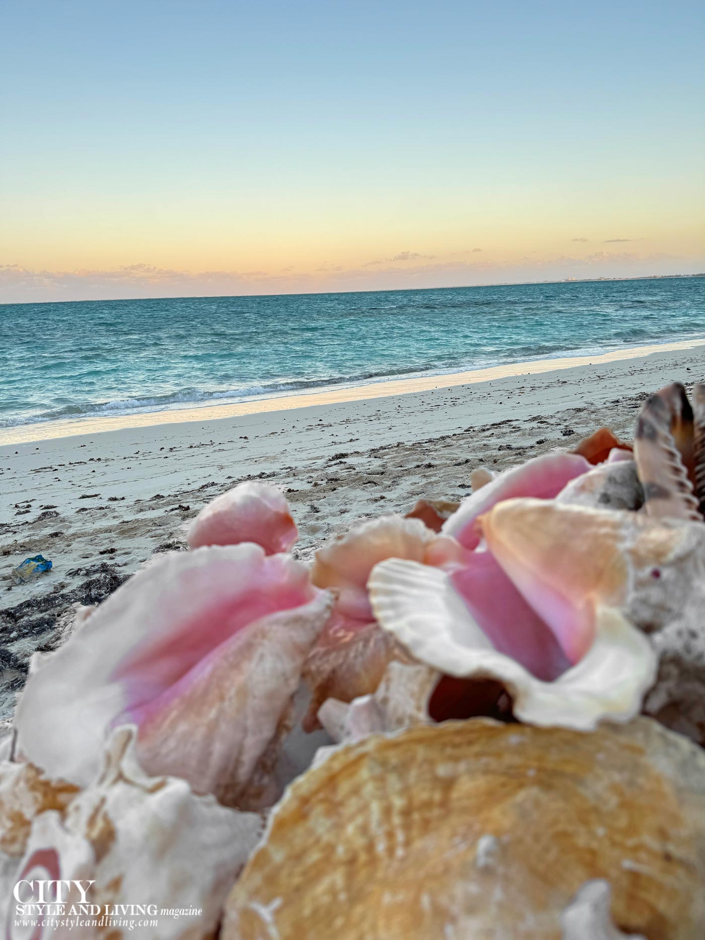 City Style and Living Magazine Spring 2025 Turks and Caicos Conch Shells Sunset