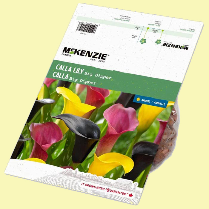 City Style and Living Magazine Summer 2025 We Tested These Garden Winners. Here Are the Results Home-Hardware-McKenzie-Calla-Lily-Big-Dipper-Flowering-Bulbs