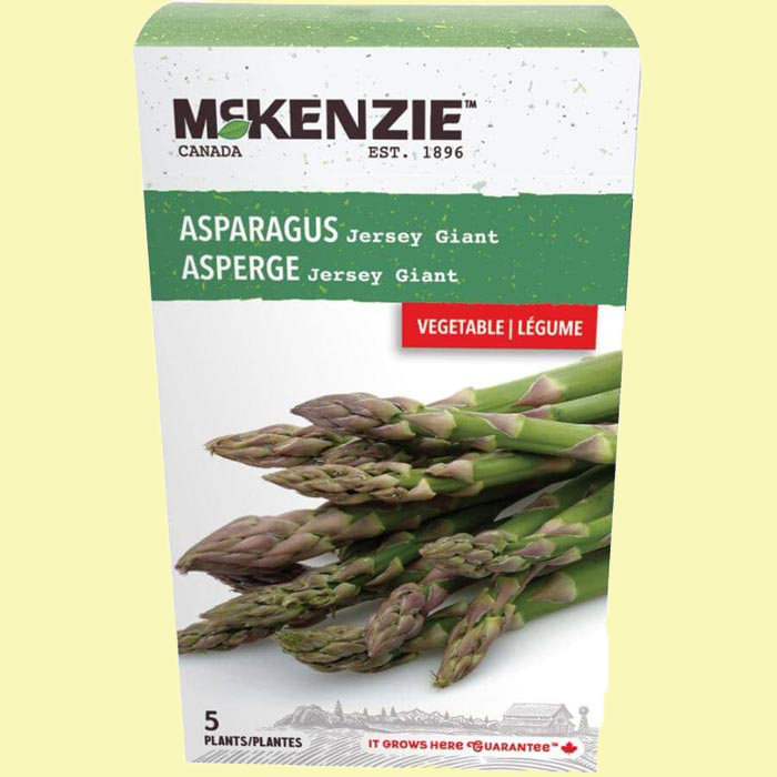 City Style and Living Magazine Summer 2025 We Tested These Garden Winners. Here Are the Results HomeHardwareMCKENZIE-Jersey-Giant-Asparagus-Bulbs---5-Pack-