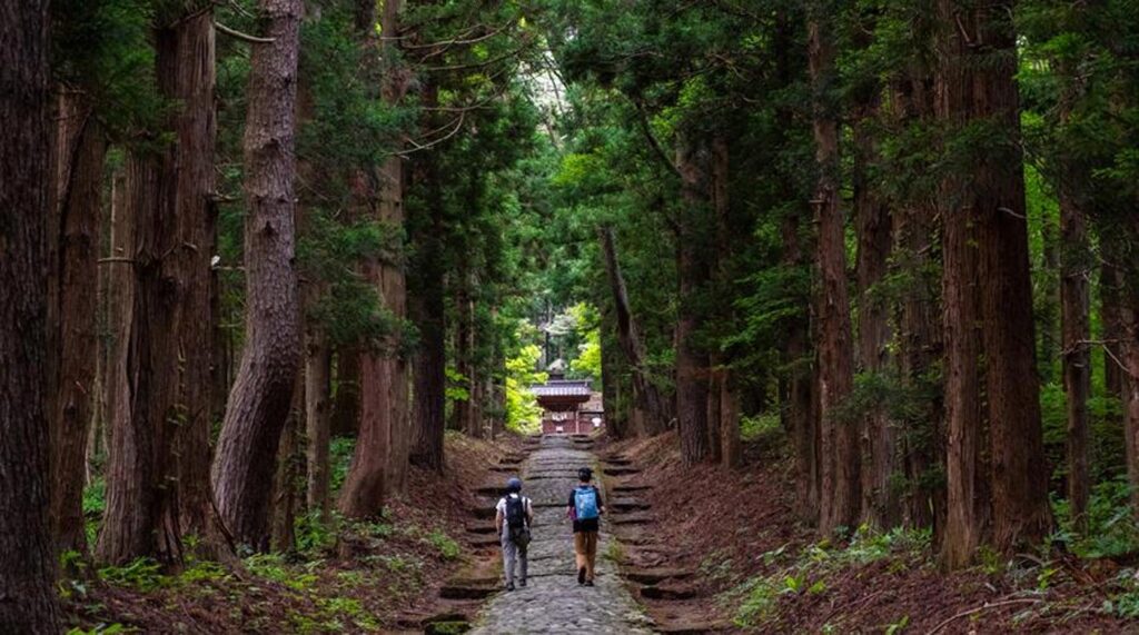 City Style and Living Magazine Summer 2025 7 Global Hikes Worth The Trek Oku-Japan-The-approach-to-the-historic-Hanitsu-Shrine