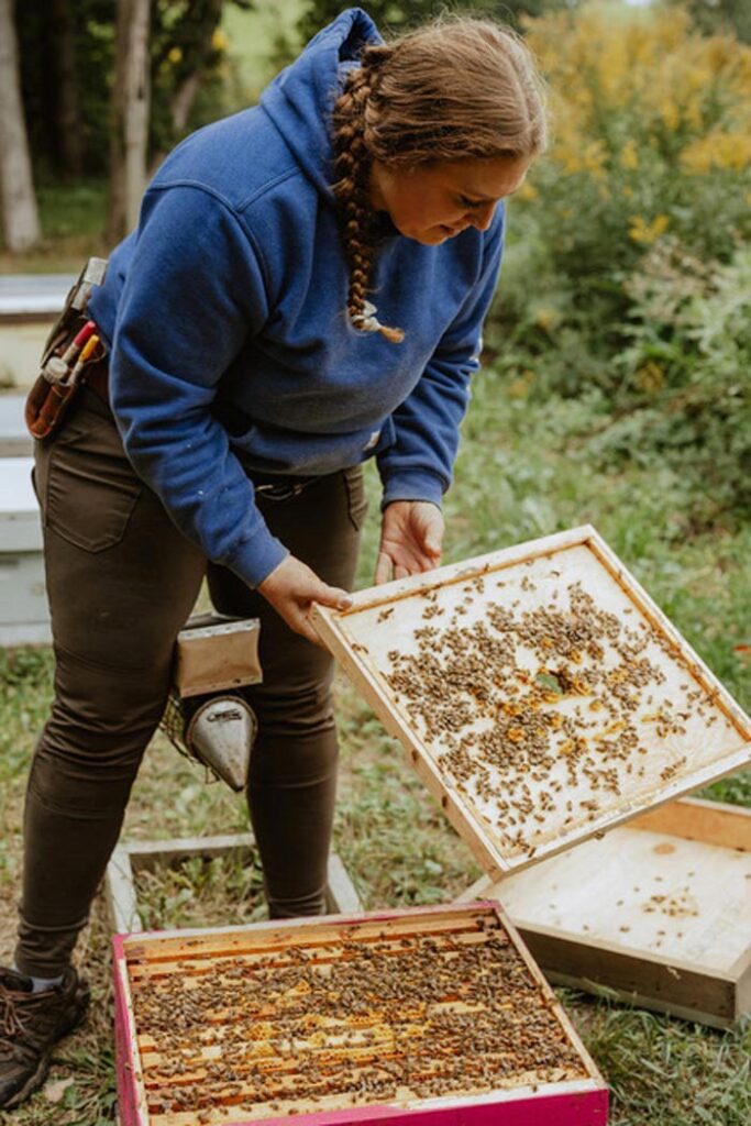 City Style and Living Magazine Summer 2025 How To Encourage The Bees saving-the-bees-and-pollinator-friendly-planting dutchmans gold