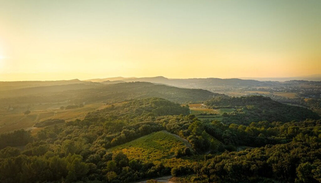 City Style and Living Côtes du Rhône red chilled wine Landscape at sunset Alex Gauvin