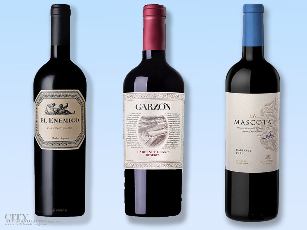 Why You Should be Carménère Curious
