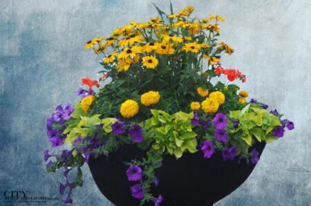 City Style and Living Magazine Fall 2025 Plan for A Beautiful Garden Display