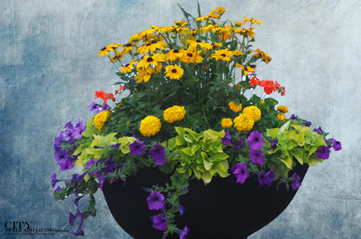 Plan for A Beautiful Garden Display