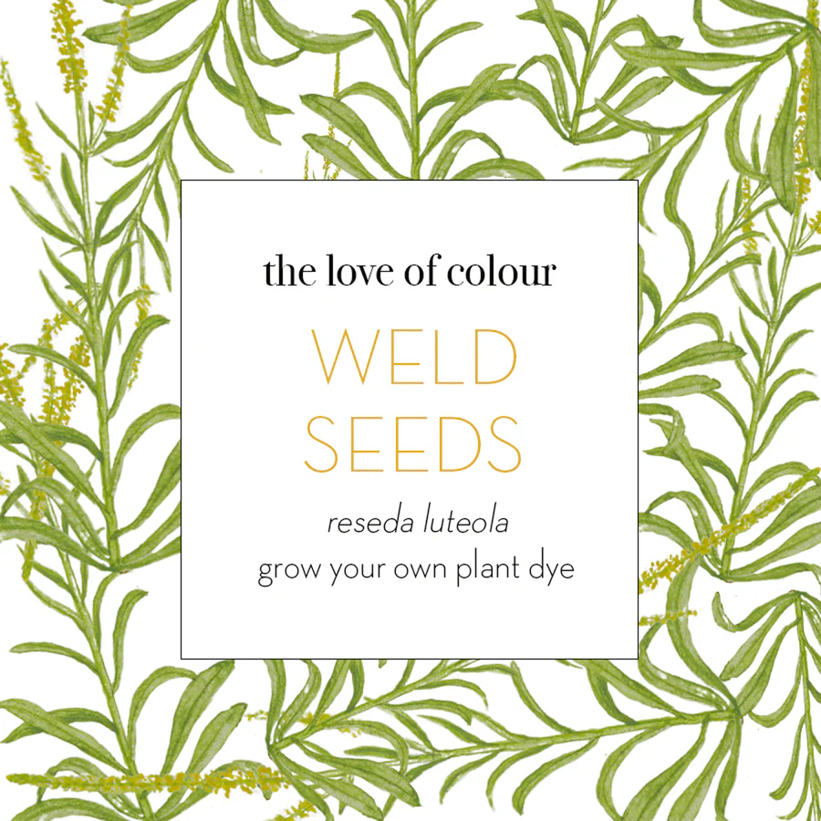 City Style and Living Magazine Fall 2025 TheLoveofColourWeldSeeds