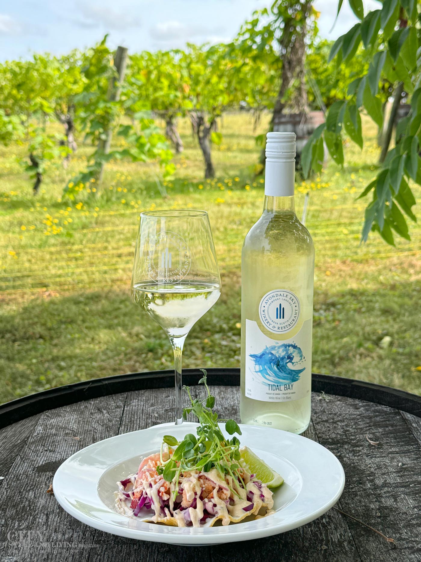 City Style and Living Magazine Winter 2025 Annapolis Valley Nova Scotia Wine Country Tidal Bay wine and lobster tostada in vineyards of Avondale Sky