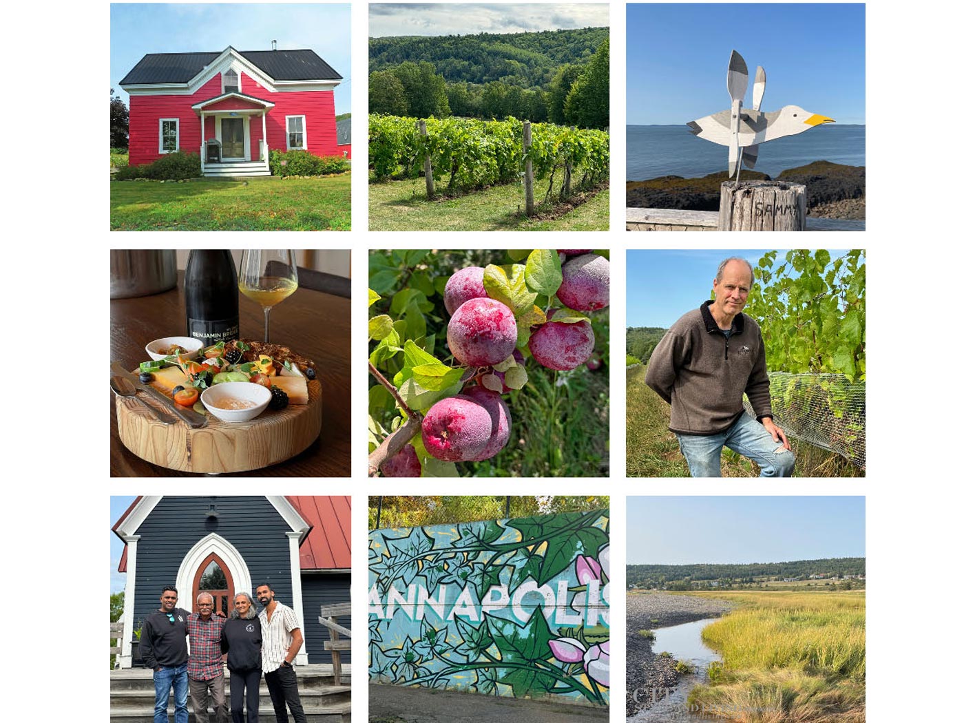 City Style and Living Magazine Winter 2025 Annapolis Valley Nova Scotia Wine Country Wine Owners Winemakers Vineyards collage