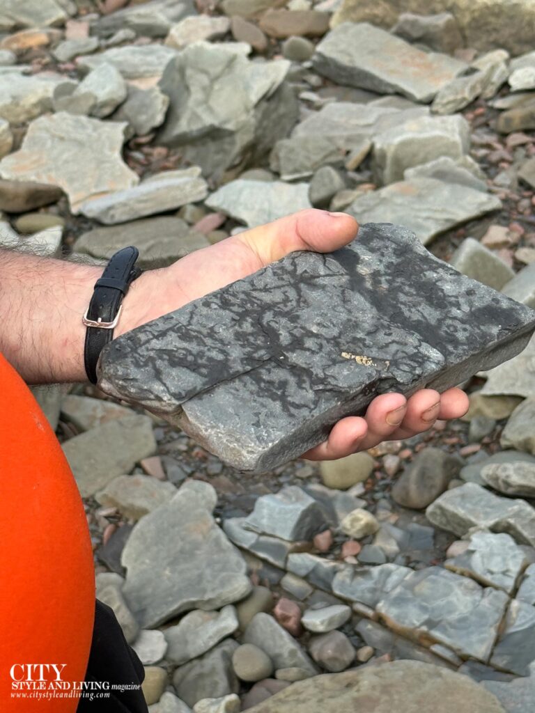 City Style and Living Magazine Winter 2025 Joggins Fossil Cliffs