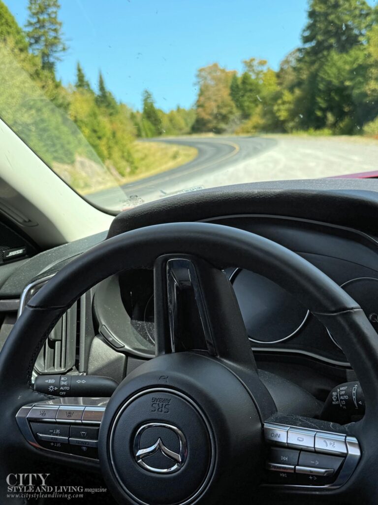 City Style and Living Magazine Winter 2025 We Drove This Vehicle 6,000 Kilometres Through The Canadian Maritimes, Here's How it Went Steering Wheel closeup and winding Road Fundy Trail Parkway