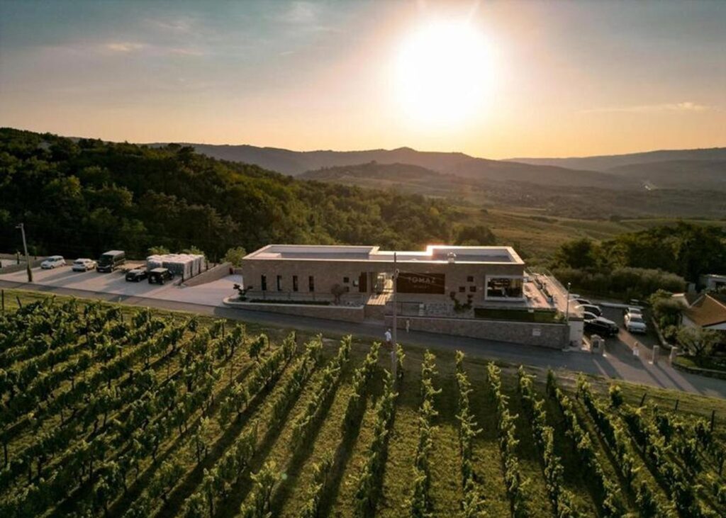 City Style and Living Magazine Winter 2025 Istria Croatia Travel Tomaz Winery