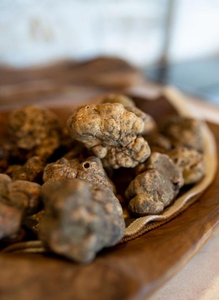 City Style and Living Magazine Winter 2025 Istria Croatia Travel white truffles