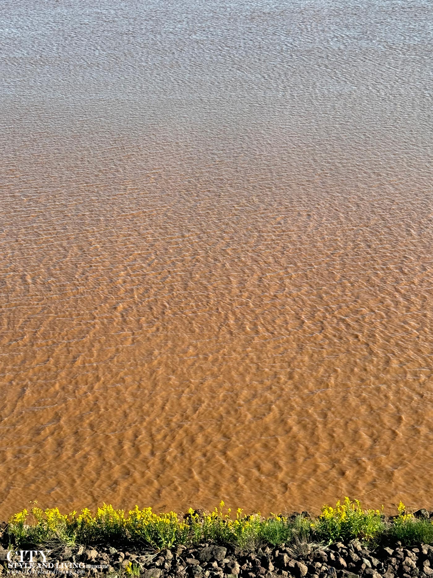 City Style and Living Magazine Winter 2025 Chateau Moncton fundy