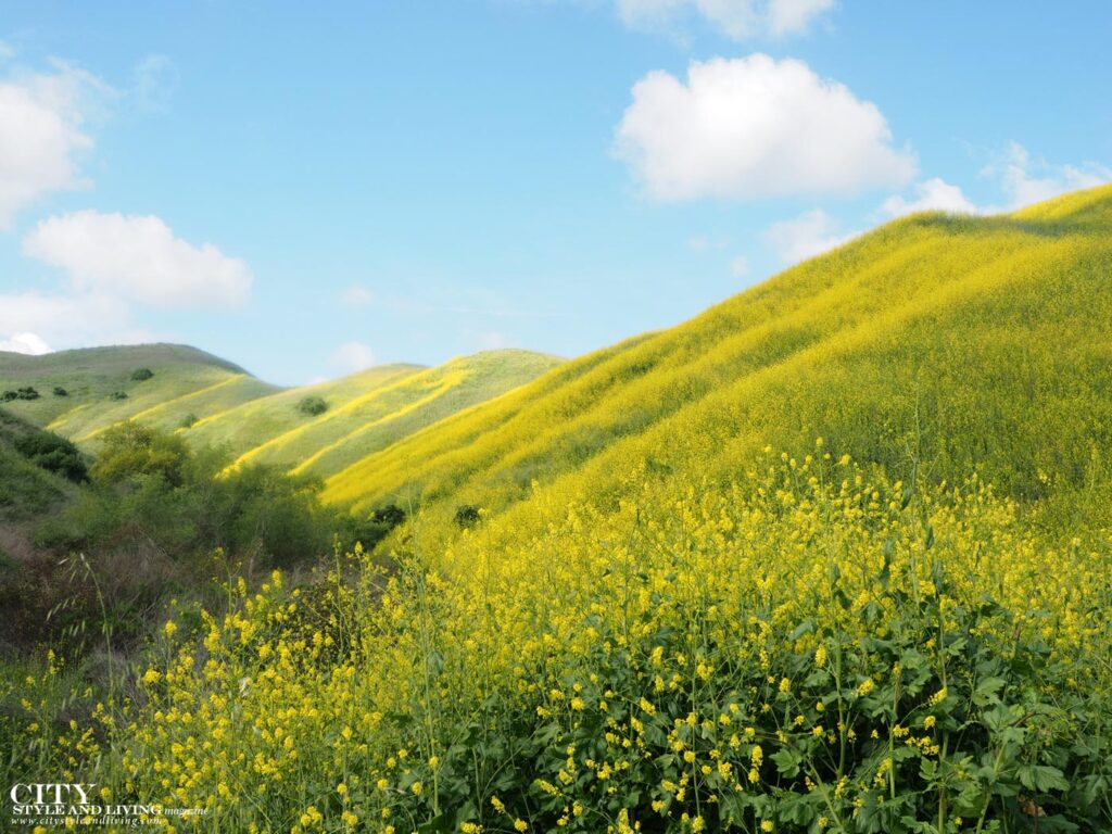 Celebrating Earth Day Canada 2026 Theme: 19 Ways To Be A Conscious Consumer