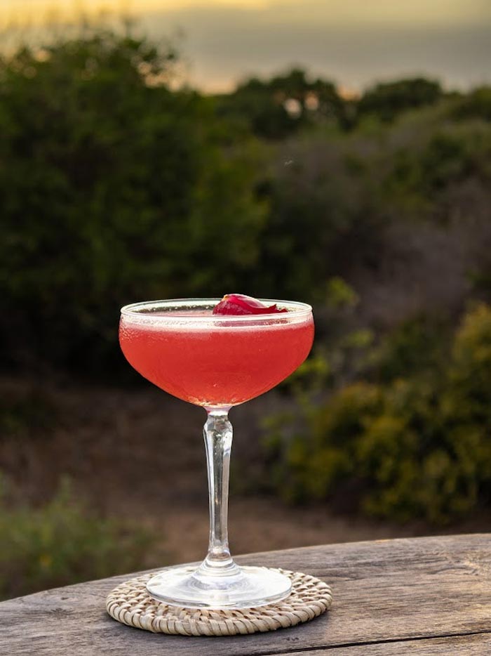 City Style and Living World Cocktail Day ‘Jungle-Rose’-by-Uga-Chena-Huts,-Yala,-Sri-Lanka