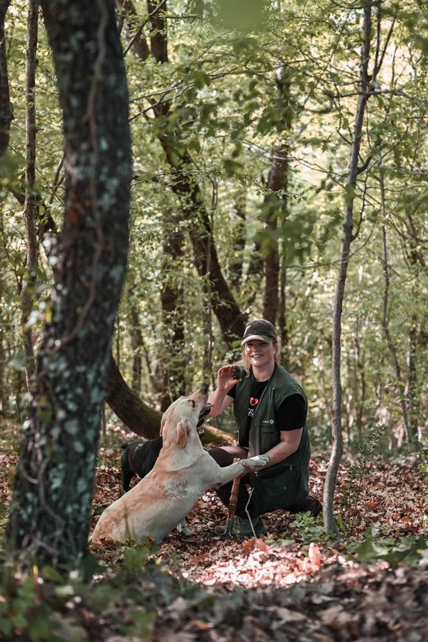 City Style and Living Magazine Fall 2026 Truffle Hunting in Istria tuffle dog in Motuvan forest